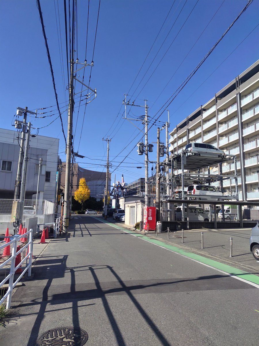 Pla_Plants_'s tweet photo. ��の構図がどこで人気があるかの情報求む。
海外のSNSなのかな?
朝の様子。
#サイドF #sideF #ららぽーと福岡 https://t.co/ZfQs5VlU4n