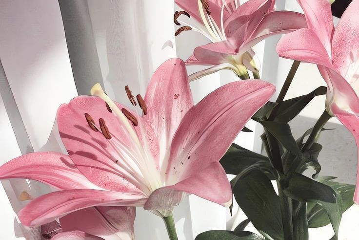 kiddipipi's tweet image. kalau masuk like #zonauang