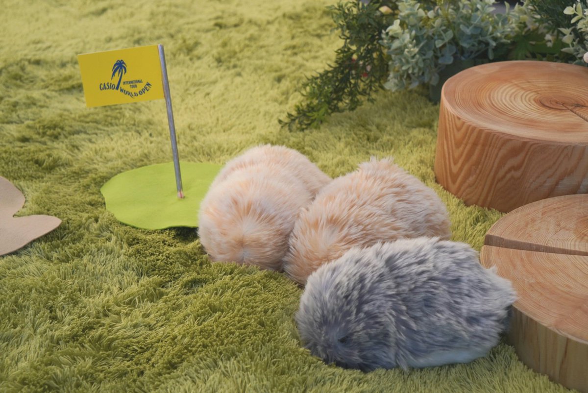 公式】Moflin（モフリン）｜感情が育つAIペット (@casio_moflin