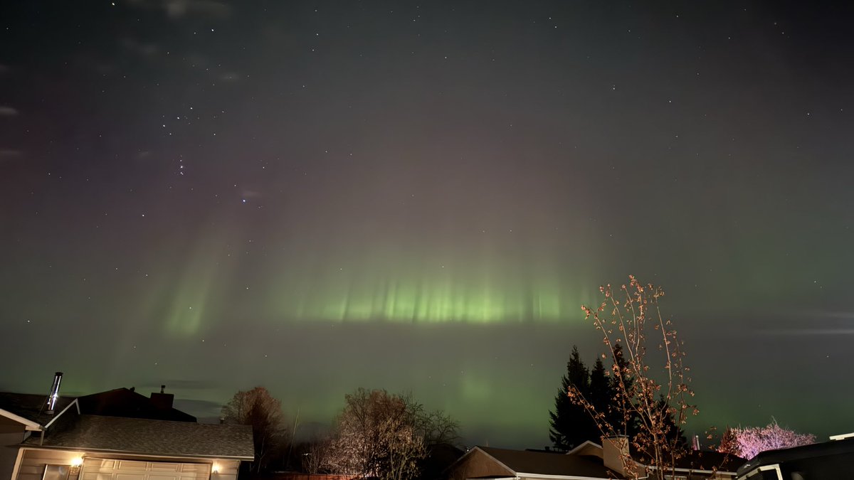 xenomnk's tweet image. 