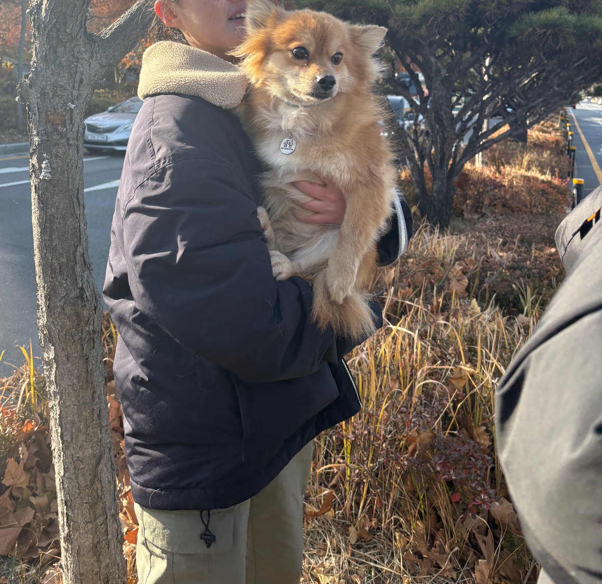 으악!!!!!!!!!!!!!!!!🥹 일요일에 불꽃축제 한다고 해서 무조건 그 전에 찾아야 한다 했는데 진짜 찾으셨어요!!!!!!!!!!!!!