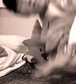 TwentyOOP's tweet image. The Mech Pin Plush Has Appeared in a New TikTok from Michael! And it shows it would NOT Be A Good Pillow! 

#osc #bfdi #objectshowcommunity #objectinvasion #itft #ppt2 #tpot #objectshow #hfjone #inanimateinsanity