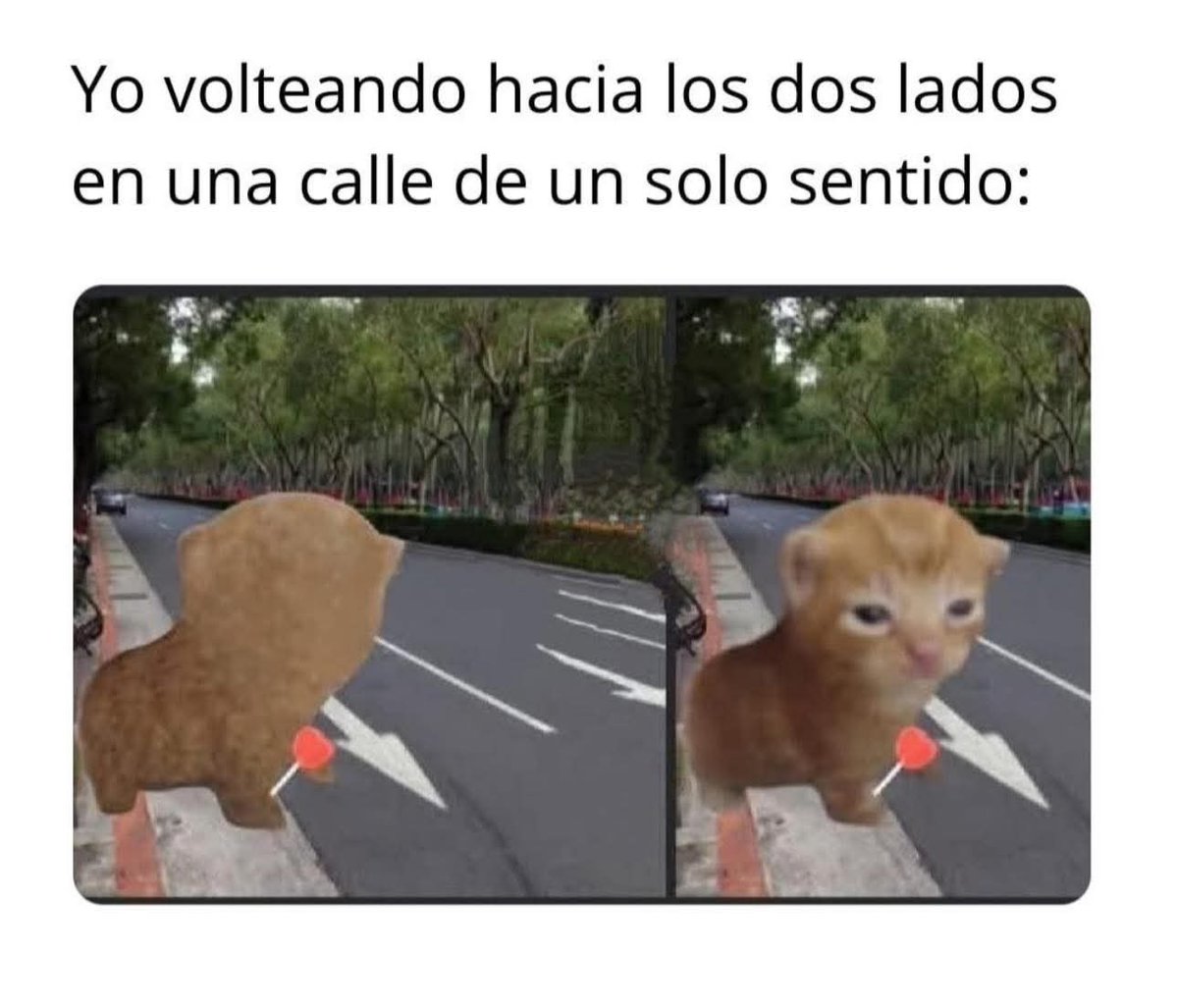 estradelirius's tweet image. No he andado de vago en éstos últimos días. El #sedentarismo no es saludable y mi #algoritmo lo sabe. El tiempo vuela ahora que estoy actualizando mi #PC, pero esto mejor que desechar un icore7 y 16 gb en RAM, una laptop nueva puede esperar. El lote para la cabaña es primero🏕️