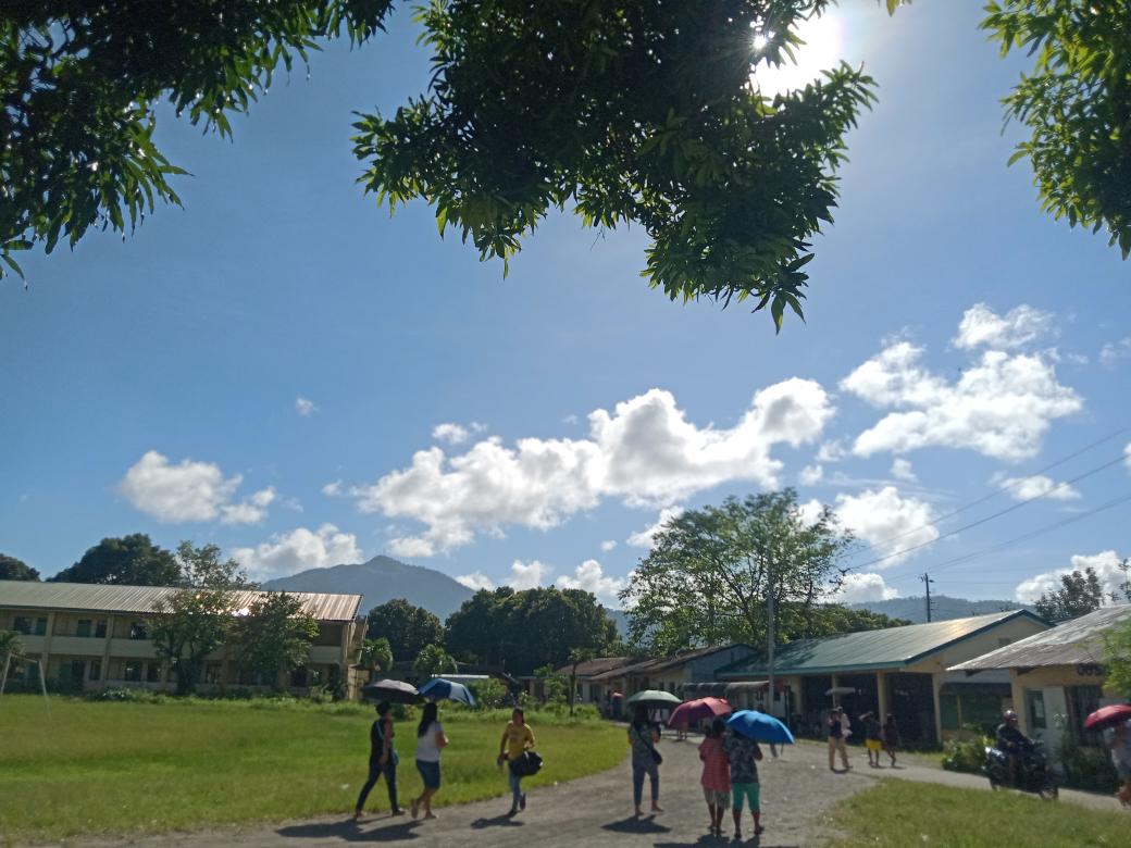 nyctophile00___'s tweet photo. 🍃🌴☁️🌤️☺️💚🤍 https://t.co/tLLdXhUPyi