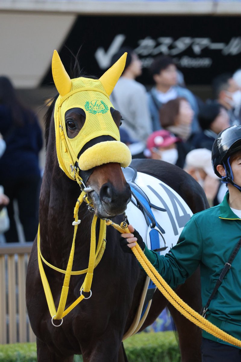 みやこ (@nGAOEyuRthxpQK9) / Posts / X