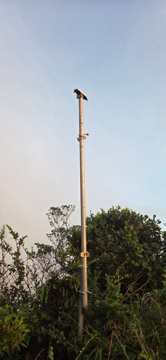 Joshua O. Ortiz tweet media