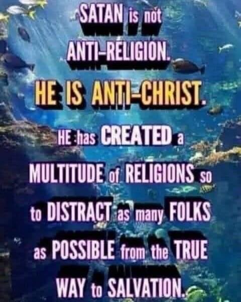 Cameron Grysen tweet media