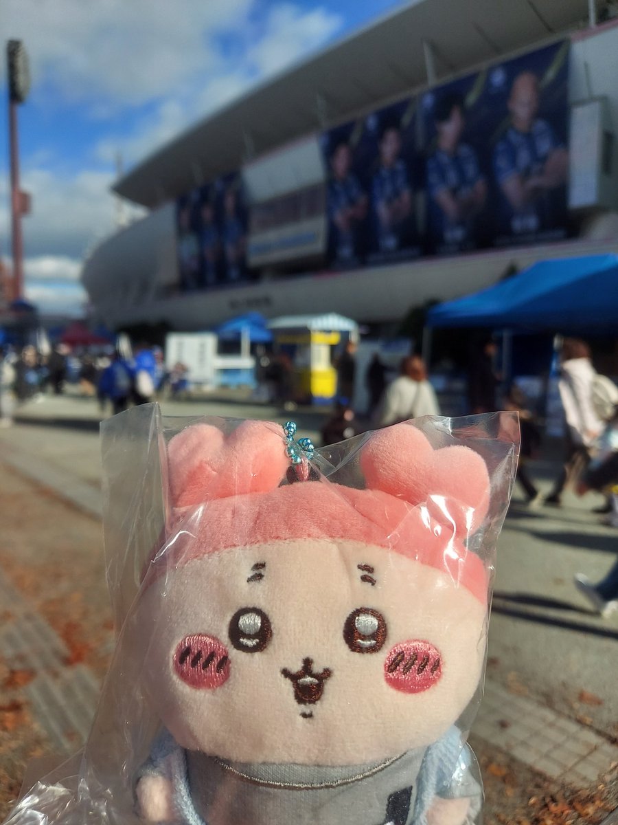 グッズ売店で見つけてしまったのでつい　まさかいるとは思わなかったです……