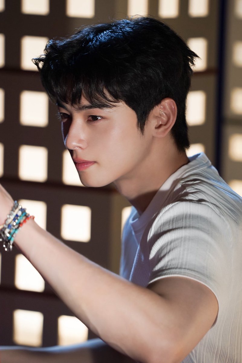 Cha Eunwoo (@chaeunwooya) / Posts / X