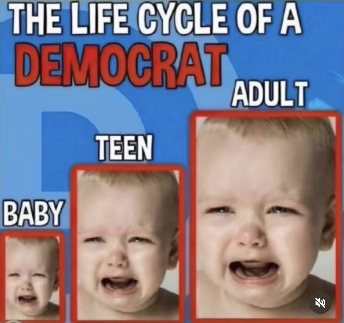 SweetTexanRose's tweet image. Trust the science.