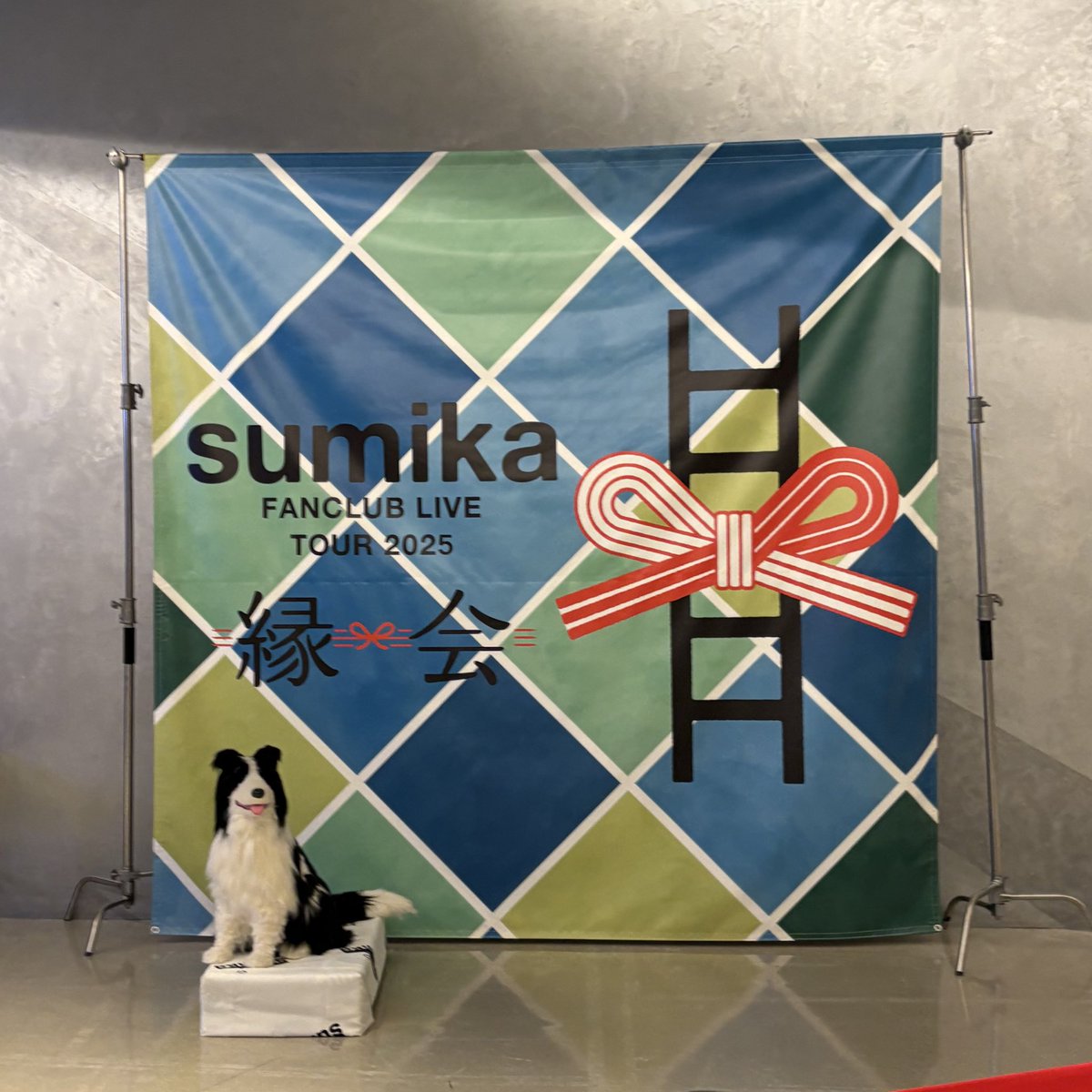 sumika横浜たのしすぎた〜🏠❕