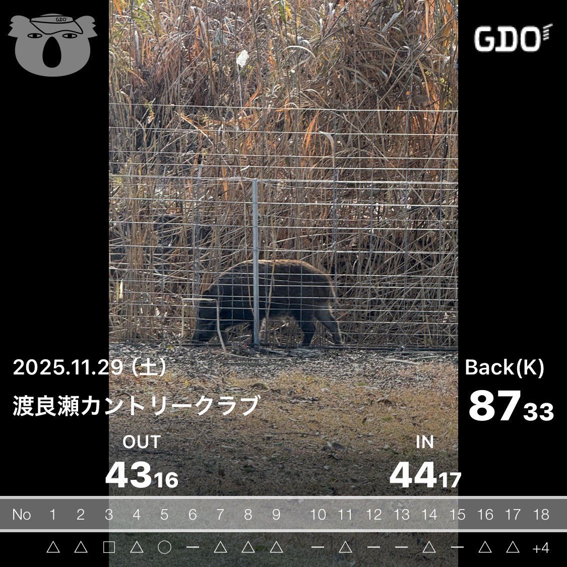 kazugolf1202's tweet photo. 昨日は⛳️→会議→事務仕事→忘年会

会議は前回が予定の連絡が来ておらず不参加で、毎年配っていたカレンダーが議題になかったようで、月曜に発注を頼まれました😂年内間に合うのか？！😂

ゴルフは後半は風にやられましたが、お仲間達が楽しかったと言われたので満足です🙌
#ゴルフ #ラウンド報告 https://t.co/uWWiOSQTKt