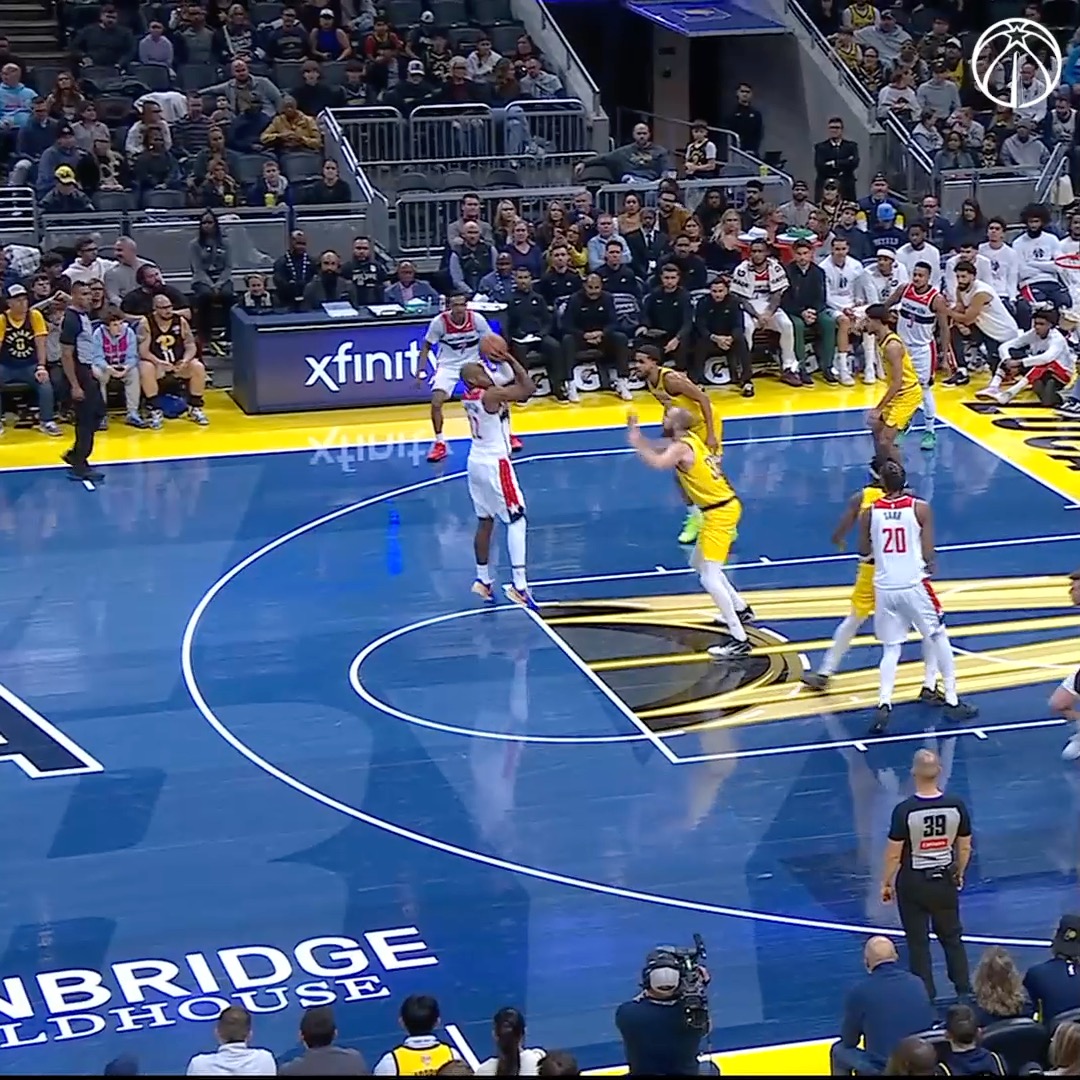 Middy from the vet ✅ 