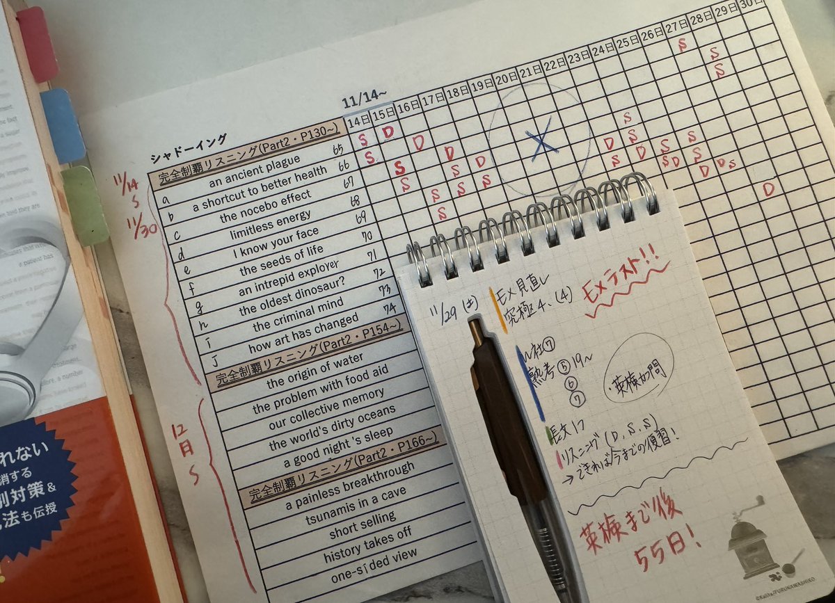 ODYSSEYFZGSDDJFLX10CW ゴリラになります ゴリラ🦍English TOEIC940