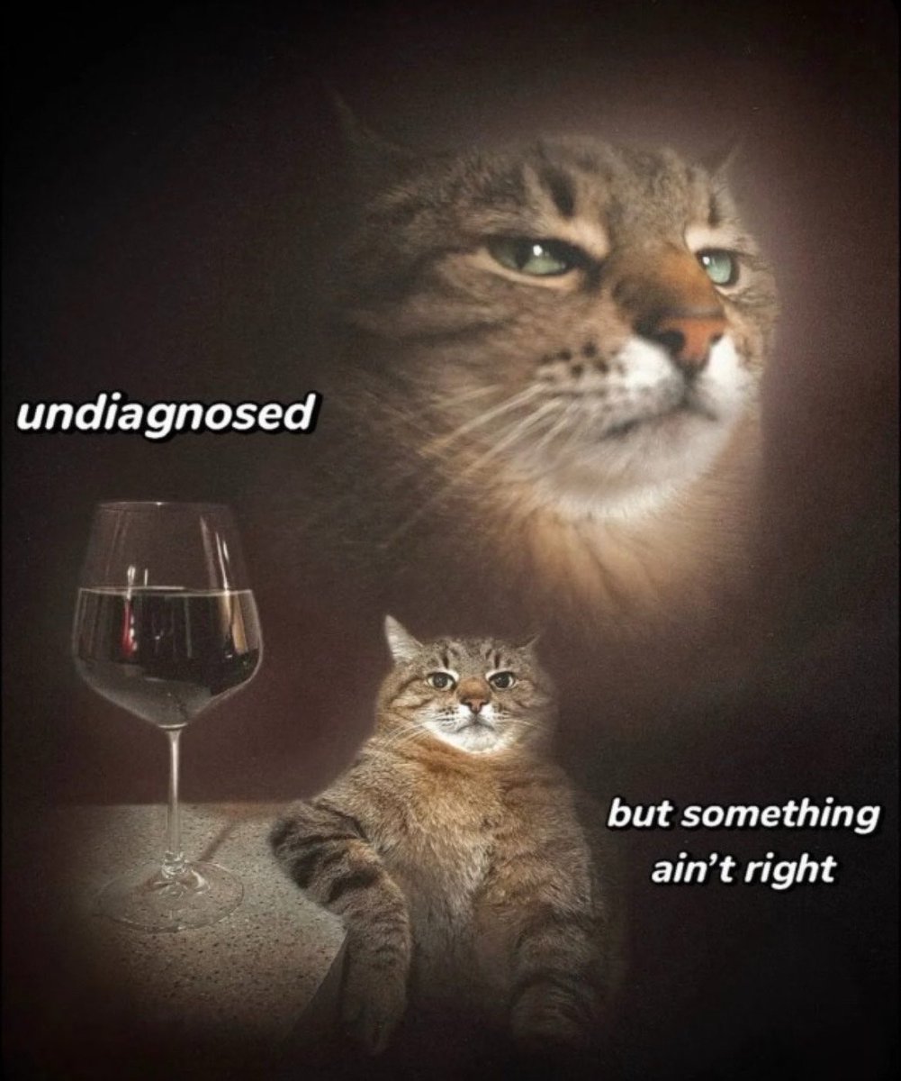 Robinxdd's tweet image. 