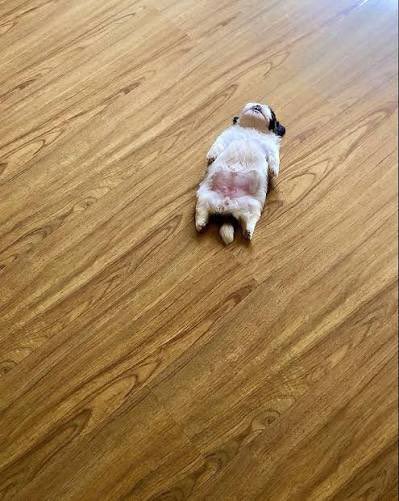 natu3__'s tweet photo. nos vimos muy poco rato, ya lo quiero ver de nuevo https://t.co/D8PHFASJIm