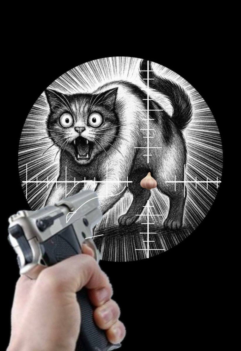 🇯🇵ブチギレ🇯🇵 tweet media