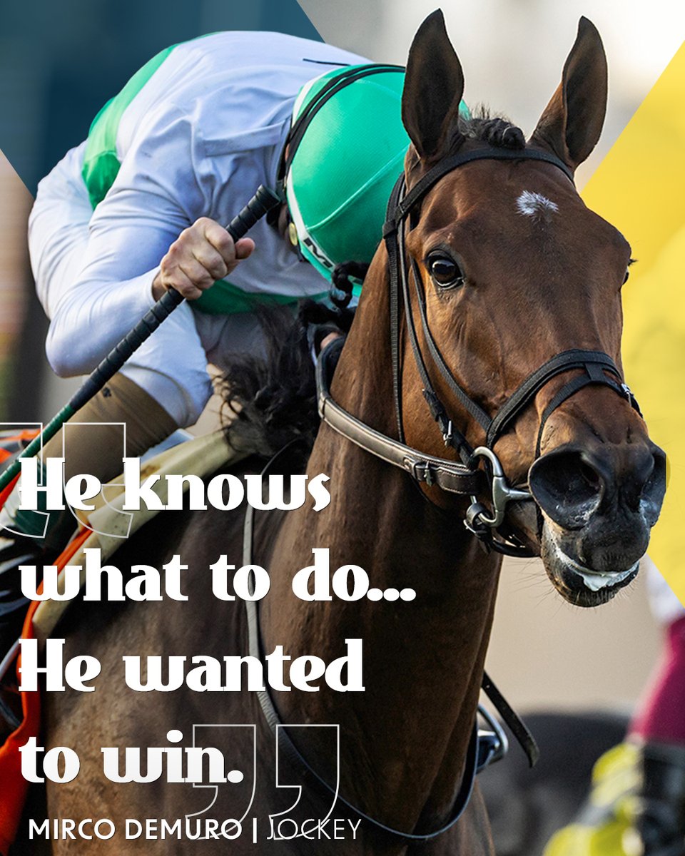 Del Mar Racetrack tweet media