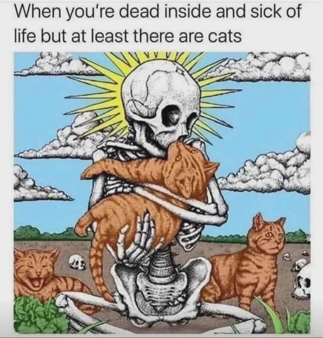 ArtYourCat's tweet image. Embrace the whimsical side of life! This art piece blends dark humor with the joy cats bring. 🐾💀 #ArtYourCat #CatLovers #DarkHumor