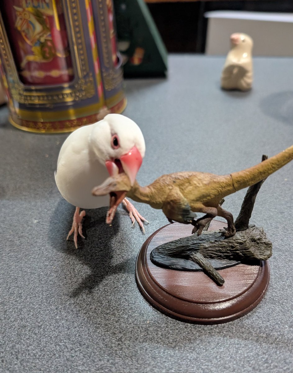 くまきち (@kumakuma072119) / Posts / X