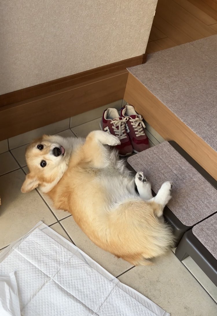 なつみかんDIY (@DIY18315851) / Posts / X