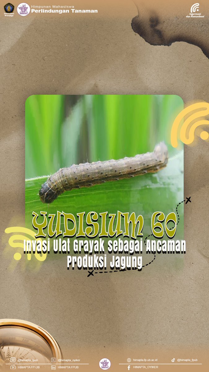[YUK DIINFORMASIKAN UNTUK UMUM]
#60

Yudisium ke-60 hadir dengan topik penting terkait produksi jagung 🌽🔥
Yuk simak informasi lengkapnya di akun sosial himapta lainnyaa 🤩🫵🏻

HIMAPTA… Oyiker!!! ✊
Infokom HIMAPTA FPUB | 2025

#HIMAPTA #OYIKER #HIMAPTA2025 #HIMAPTA_OYIKER