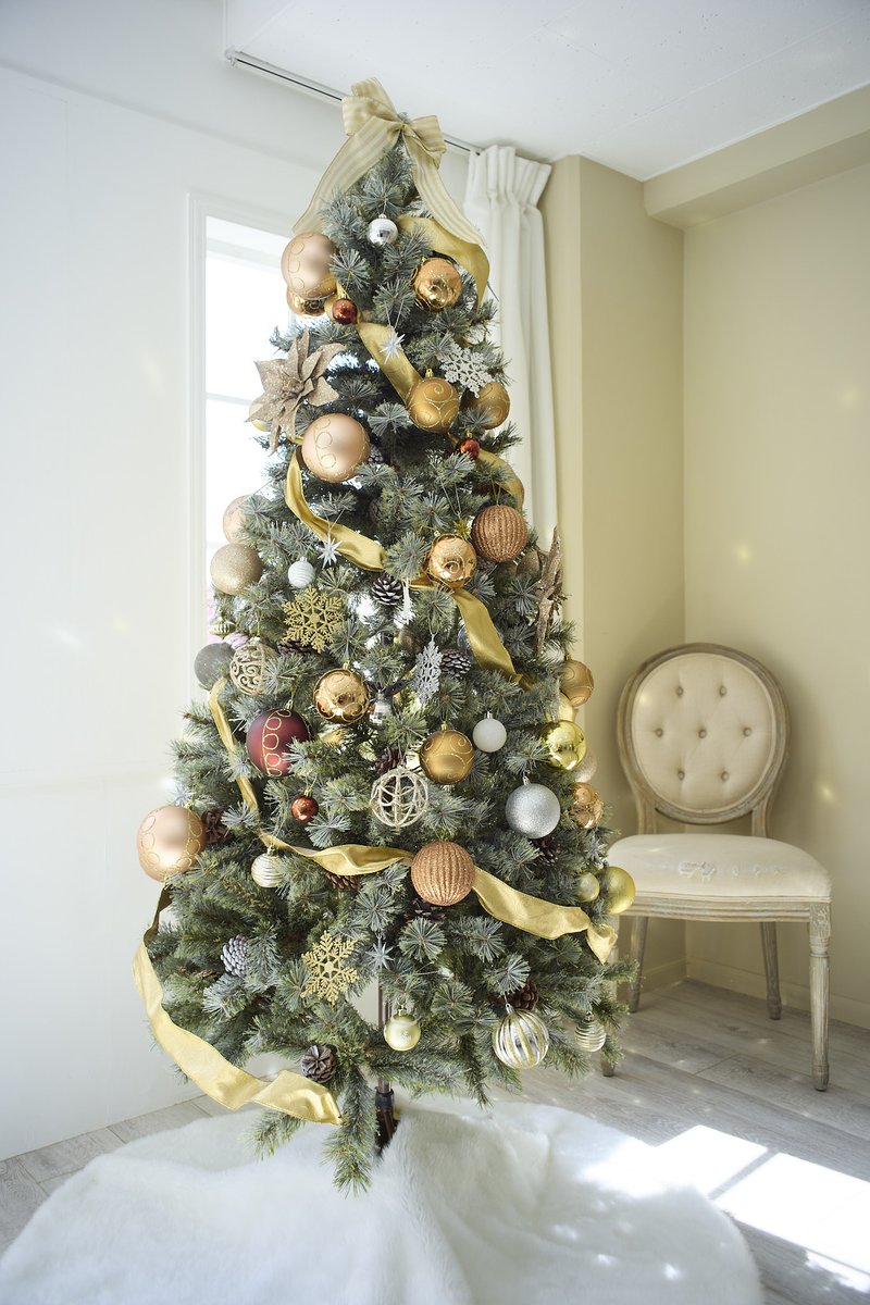 🎄📸この季節だけのクリスマスシーン。
各スタジオにツリーを設置しております✨
作品づくりにぜひご活用ください。
#クリスマス撮影 #スタジオ撮影 #StellaStudio #BeigeStudio #GreigeStudio