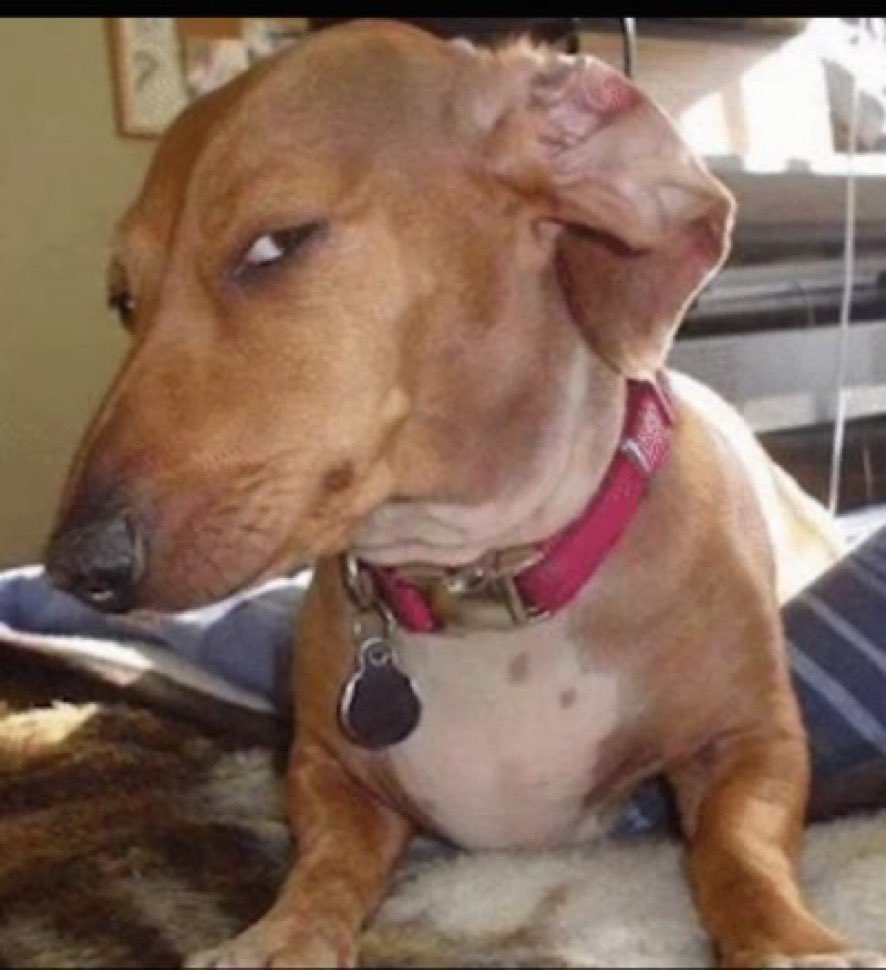 Fiiera🇧🇷🇪🇸 tweet media