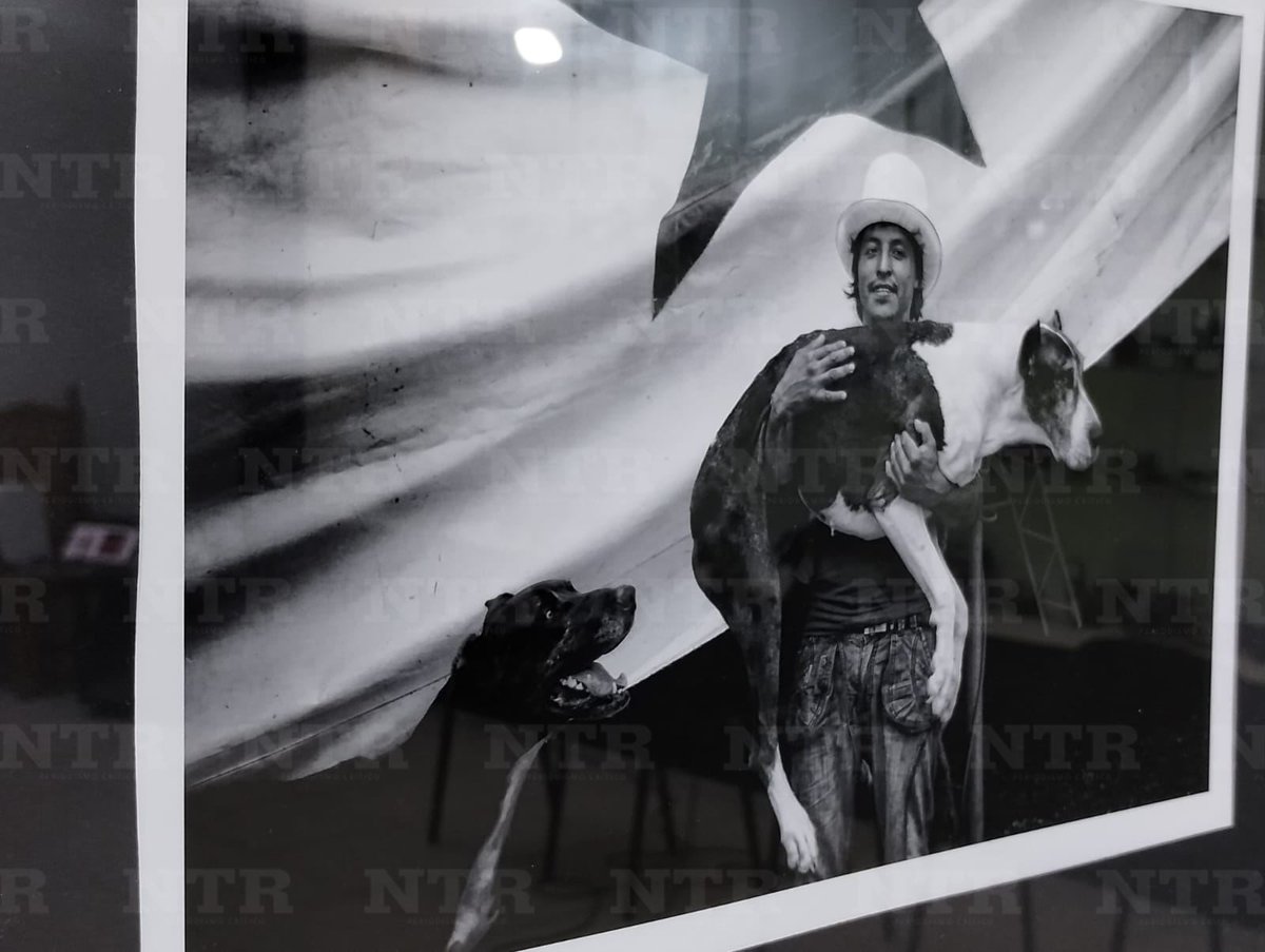 ntrzacatecas's tweet image. #Cultura 📸 En la Fototeca Zacatecas fue inaugurada la exposición “Circo”, la cual reúne obras visuales del fotógrafo mexicano Juan Pablo Cardona, quien llevará al espectador a un viaje a las partes más íntimas y nostálgicas del circo.
ntrzacatecas.com/2025/11/circo-…