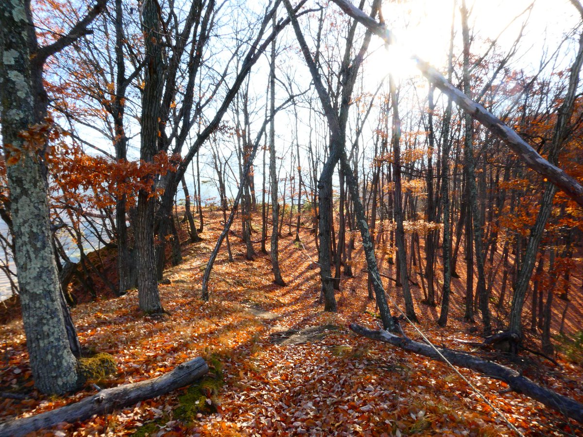 上田の隣町ではありますが……半年ぶりに松本に来ました🚗

折角なので松本の里山である弘法山と中山をサクッとハイキング🚶
紅葉はほぼ終わってるけど、冬の引き締まった空気の中、気持ち良く運動出来ました☺️