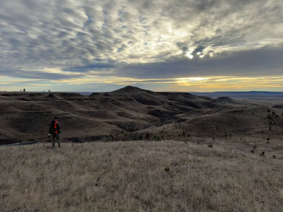 JasonSylling's tweet image. Another fun hunt with @wyattsylling and @SyllingTee