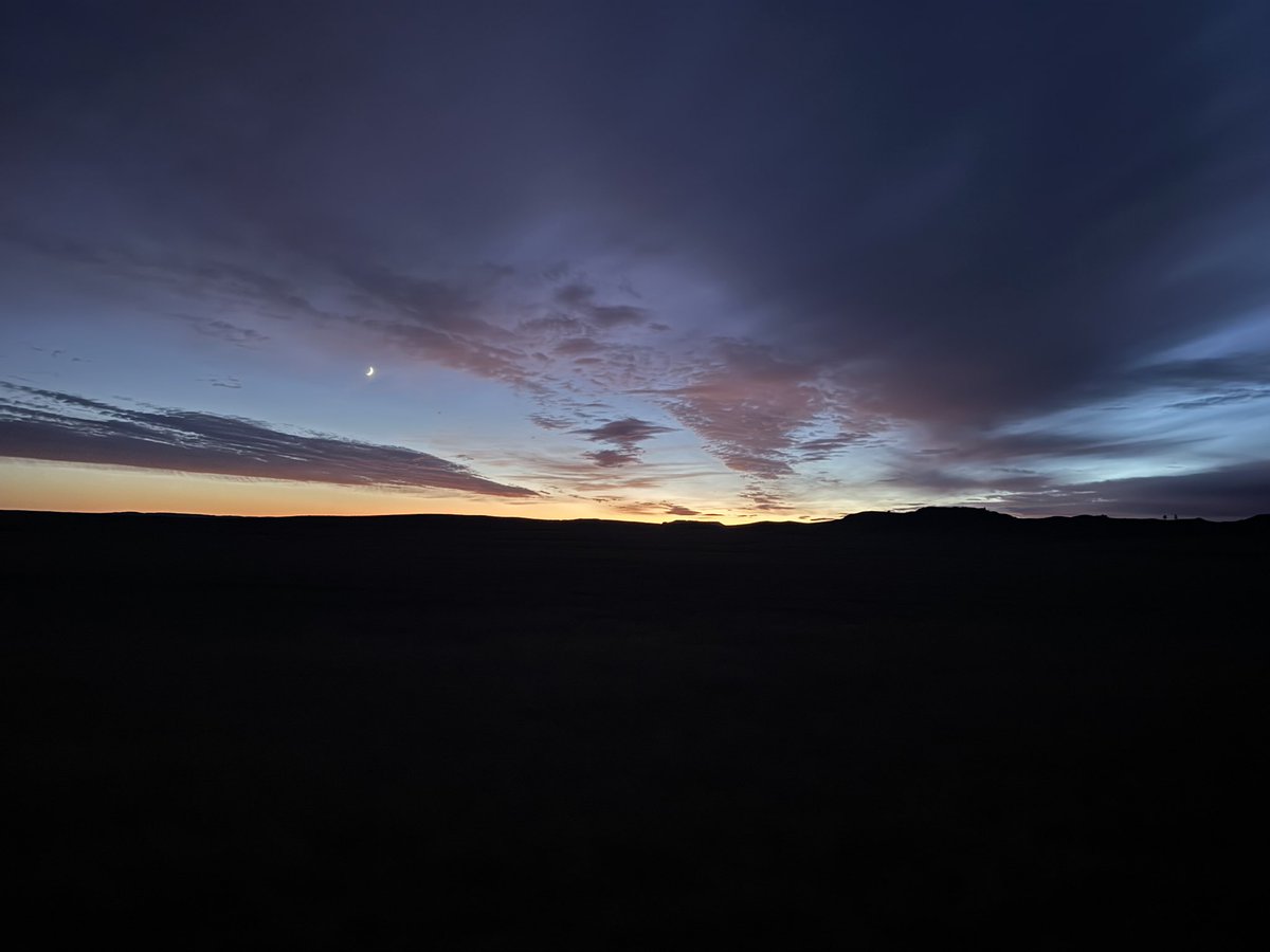 JasonSylling's tweet image. Another fun hunt with @wyattsylling and @SyllingTee