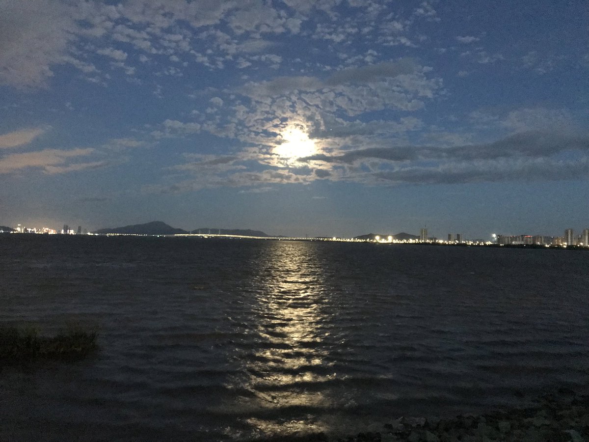 Linjun866's tweet image. 海上生明月 天涯共此时