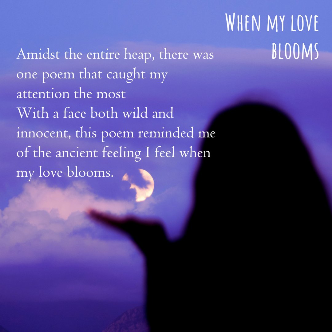 Nehasnotebook's tweet image. When my love blooms
#DailyPrompt 
#FairyTalePoets 
#vss365 
#vssfantasy #poetry