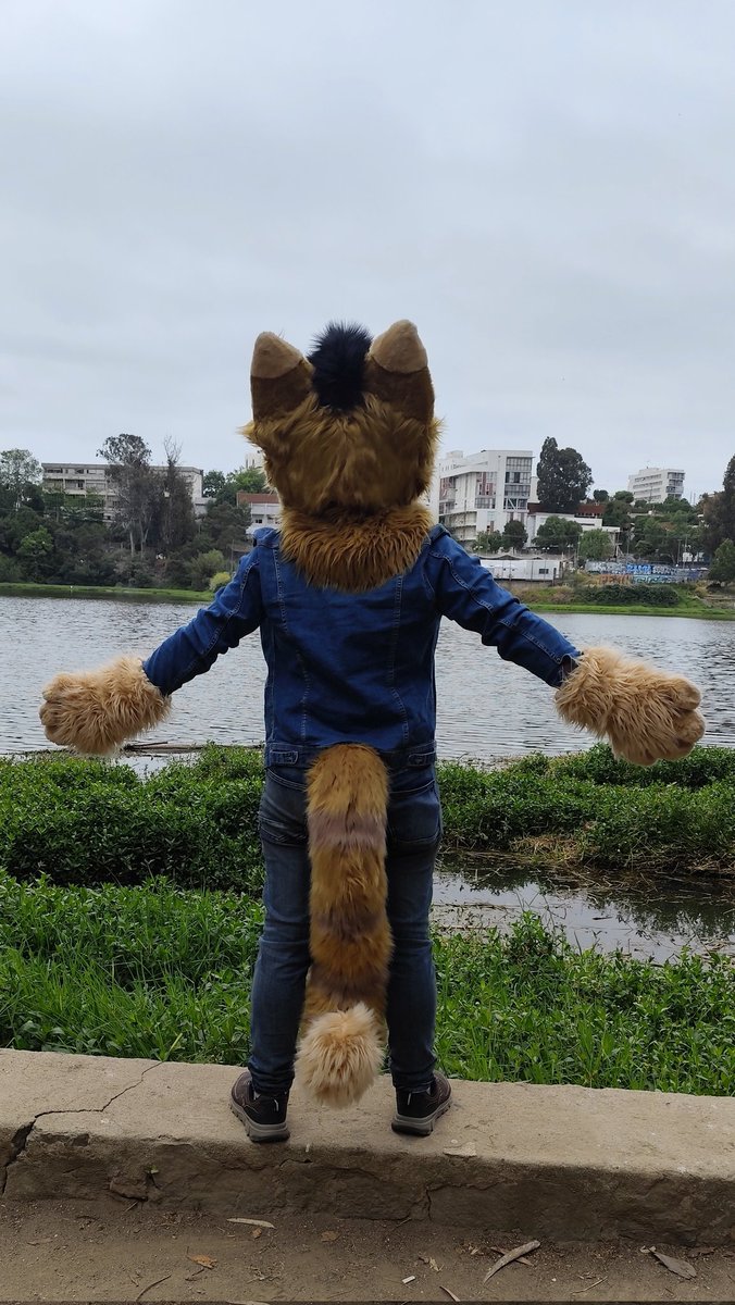 Dj Wolfe tweet media