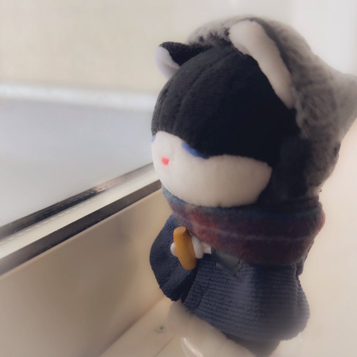 どせい工房🪐🪡さーつるに (@dosei_kooboo) / Posts / X