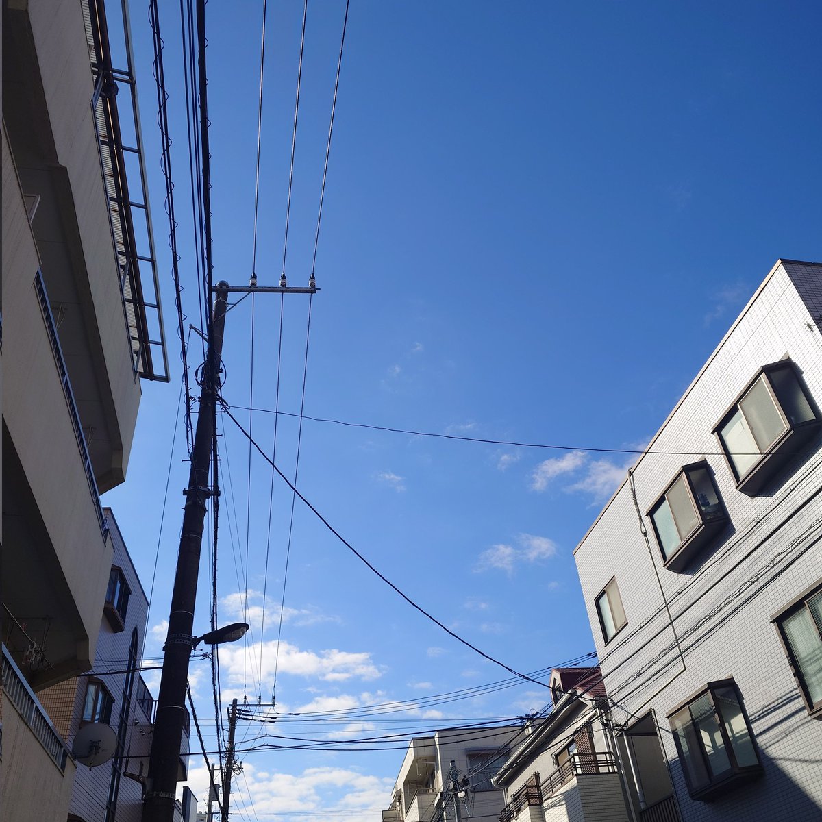 knpppp's tweet image. てんきよい