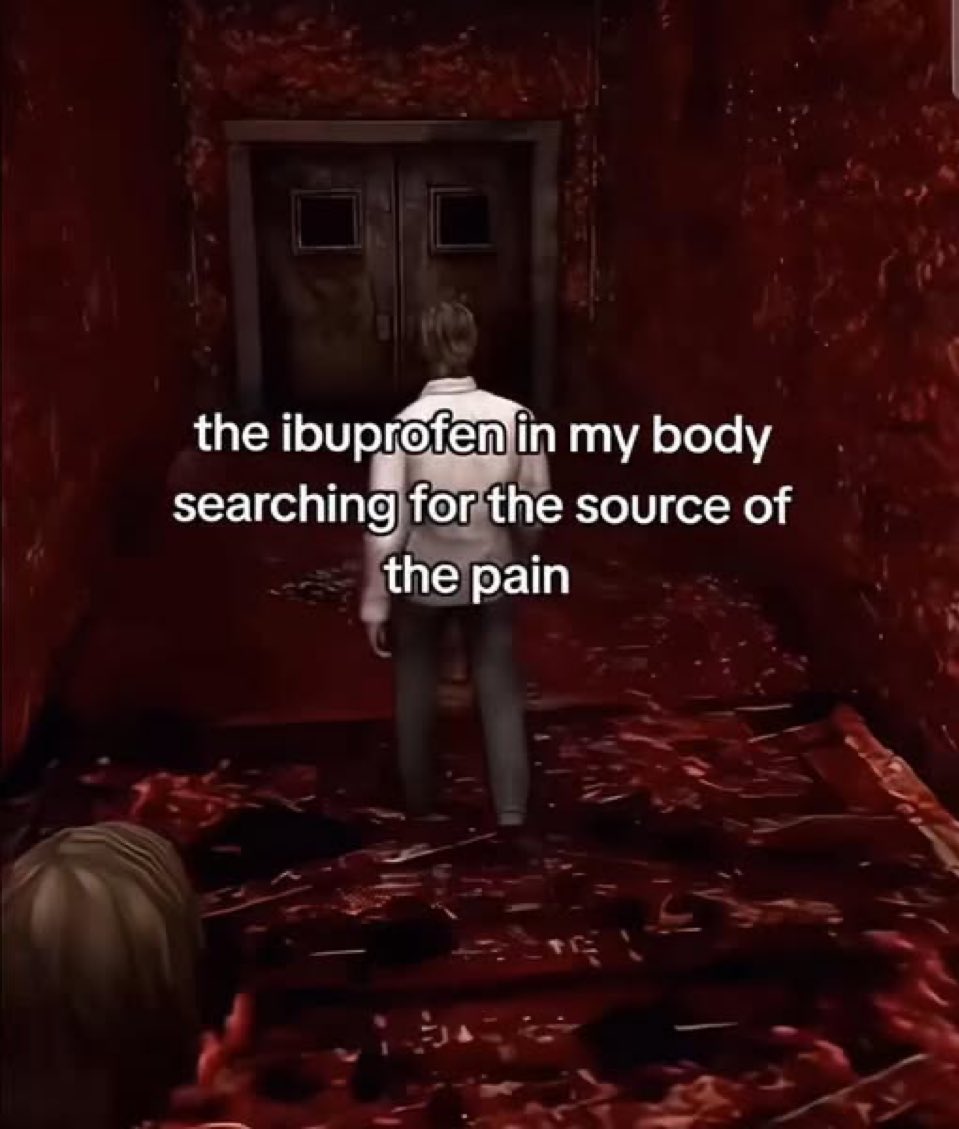 thedailymemes_'s tweet image. 