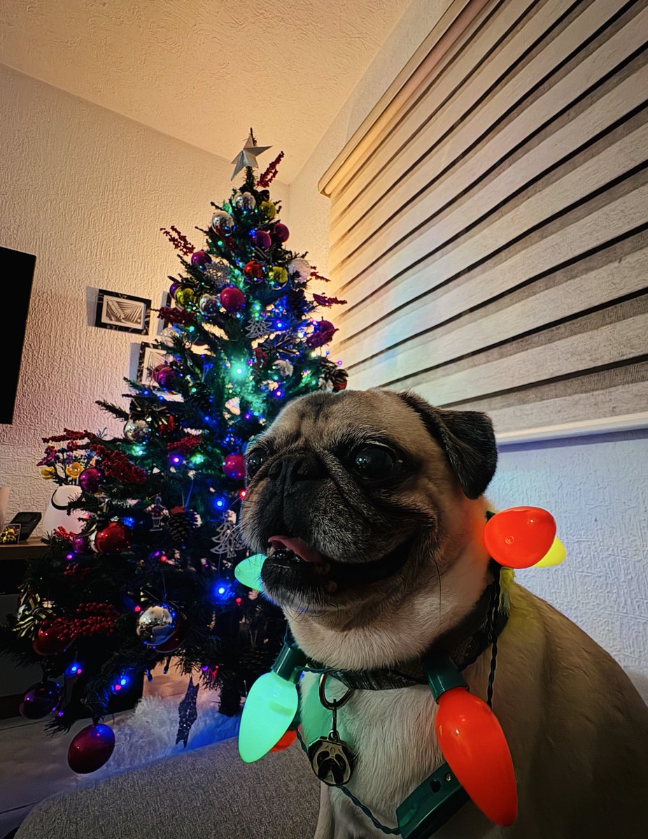 Harry como siempre posando ❤️