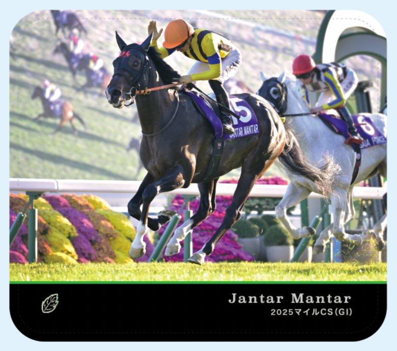 オルフェーヴル　マウスパッド　新品未開封　貴重品　競馬　ロイヤルファミリー オルフェーヴル マウスパッド 貴重品 競馬 ロイヤルファミリー 新品