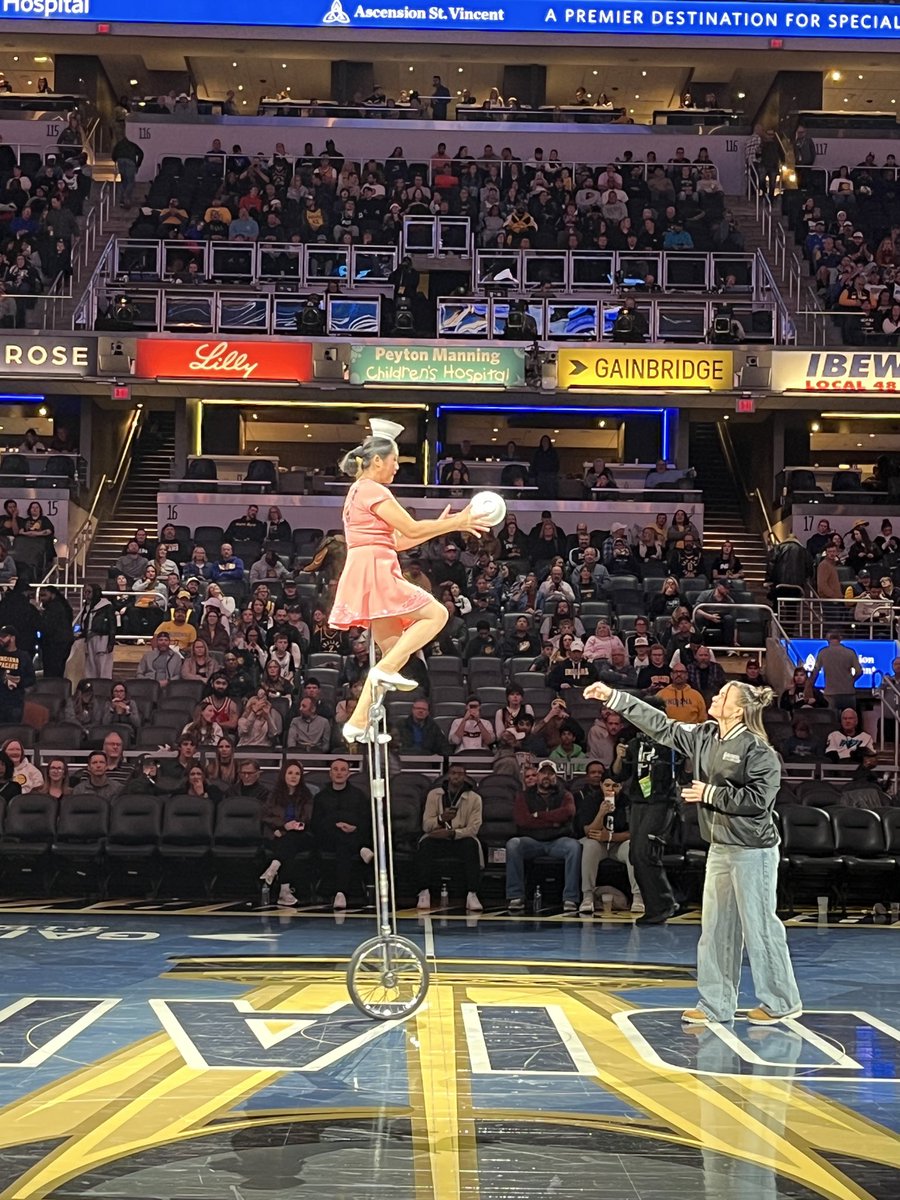 Professor_Pod's tweet image. Red Panda is back!