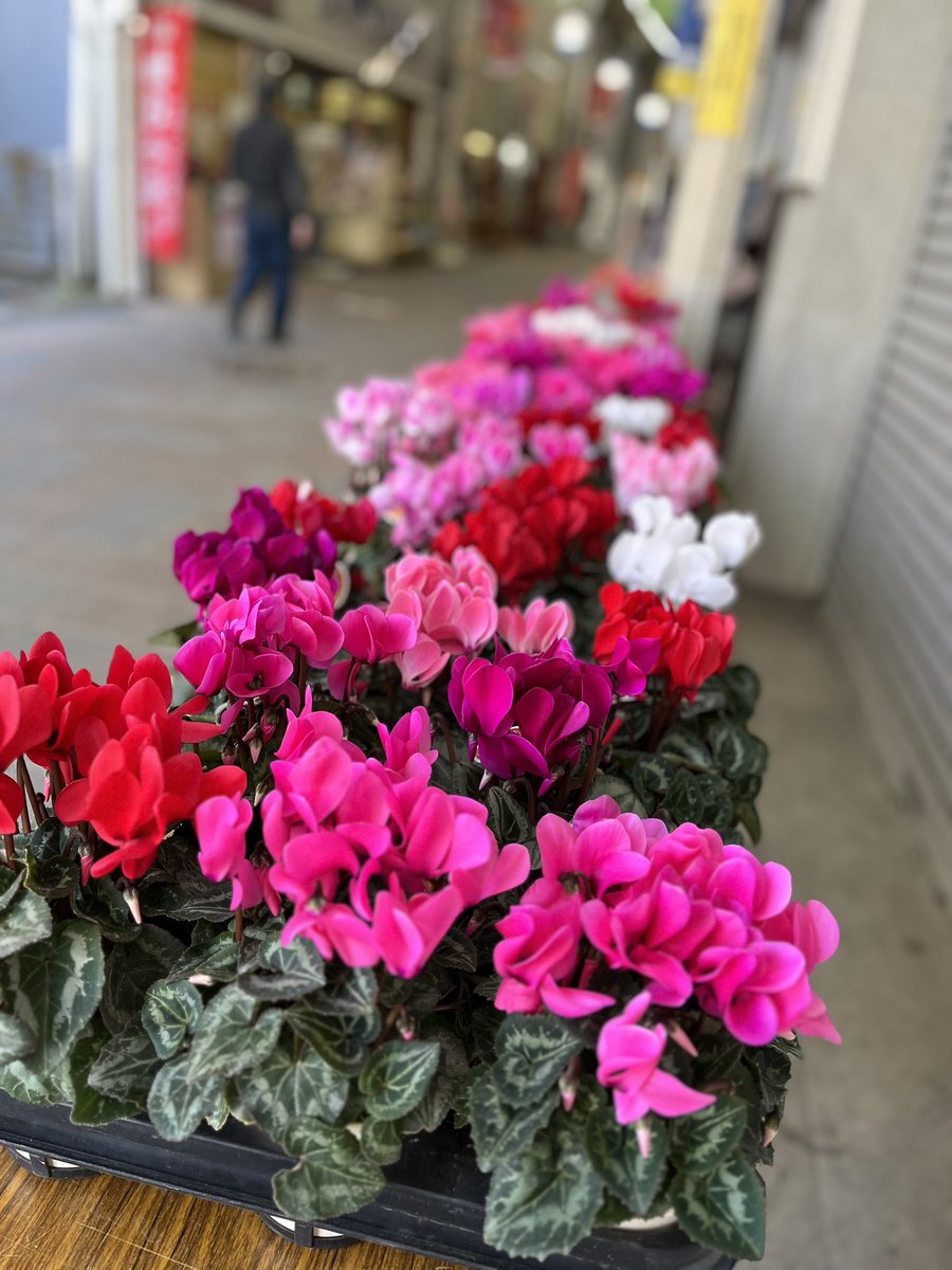 jikemachi's tweet image. 