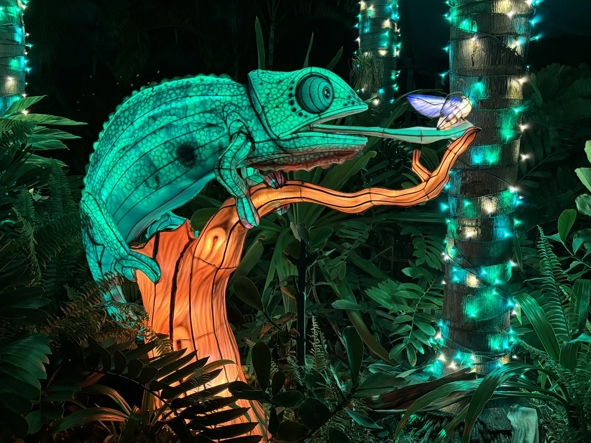 ThatJakeKid91's tweet image. So far this has been so much fun. Absolutely beautiful. Not crowded, very photogenic and chill.