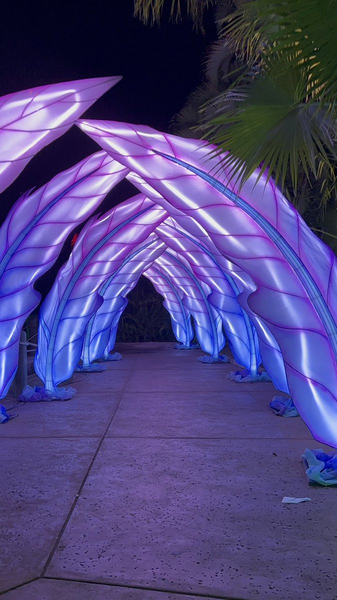 ThatJakeKid91's tweet image. So far this has been so much fun. Absolutely beautiful. Not crowded, very photogenic and chill.