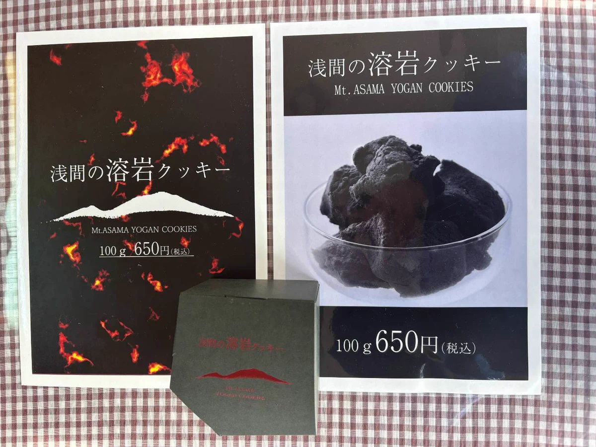 軽石を巻くシノブシダ火山溶岩 引取限定 鬼押出し園 on X: 