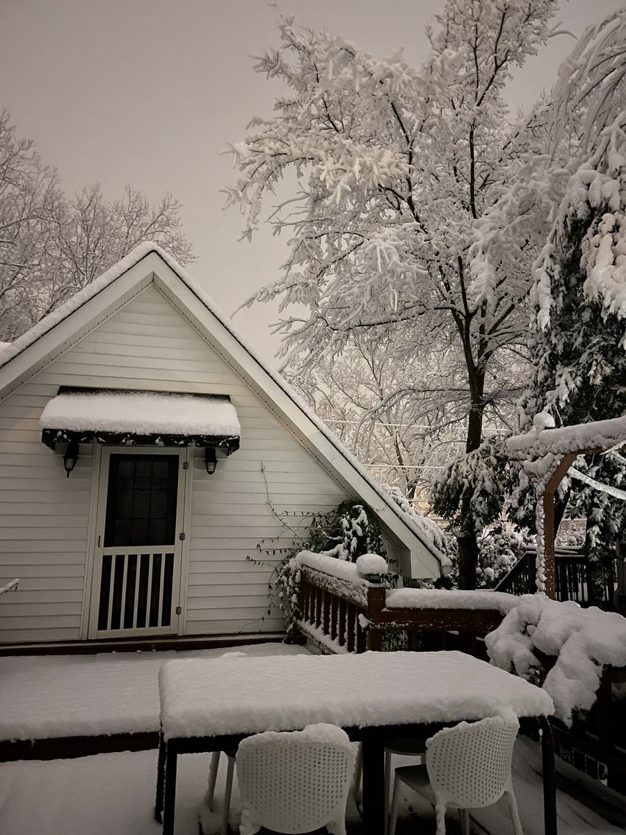 nothing on earth returns me to childlike giddiness the way a nighttime snowfall does