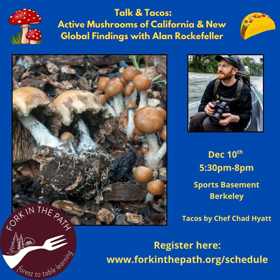 Alan Rockefeller tweet media