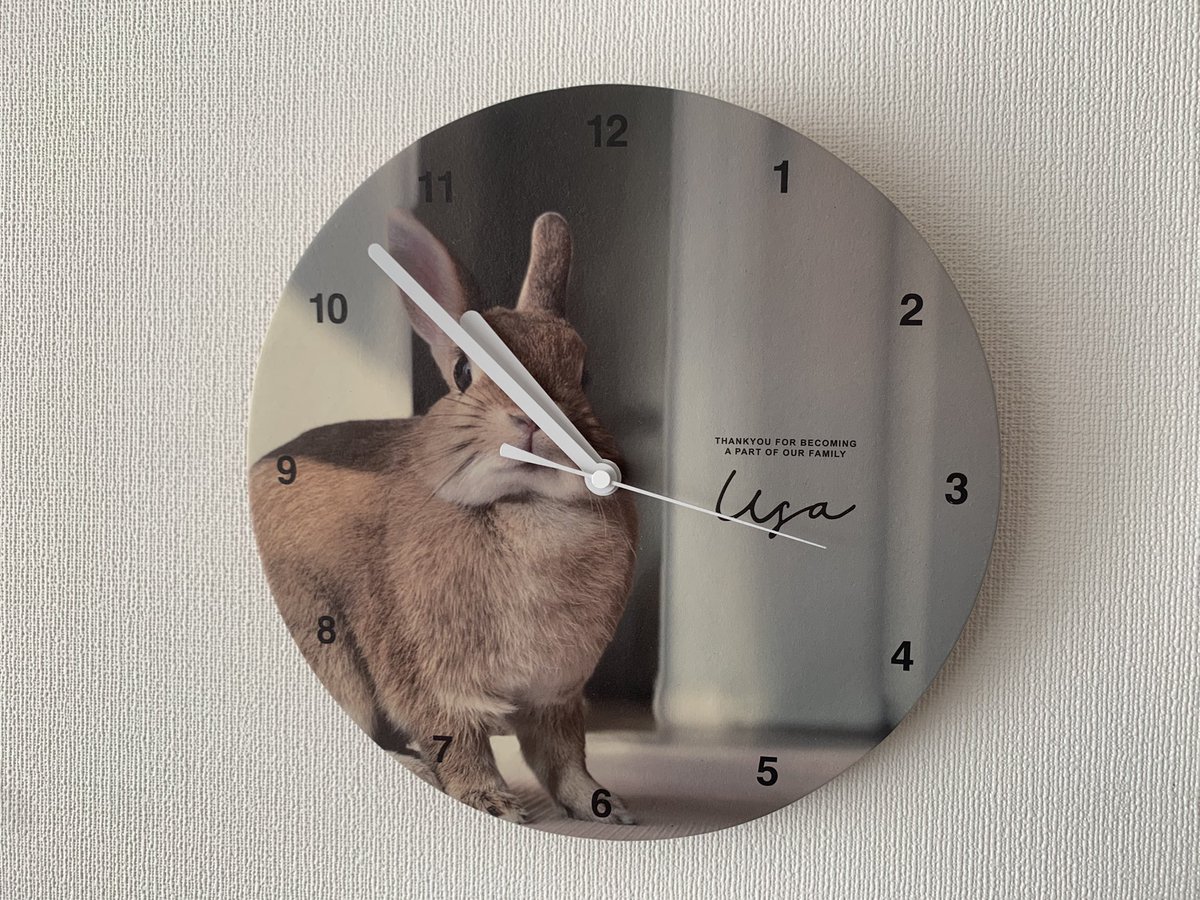 うさ男（お） (@papanikki1) / Posts / X