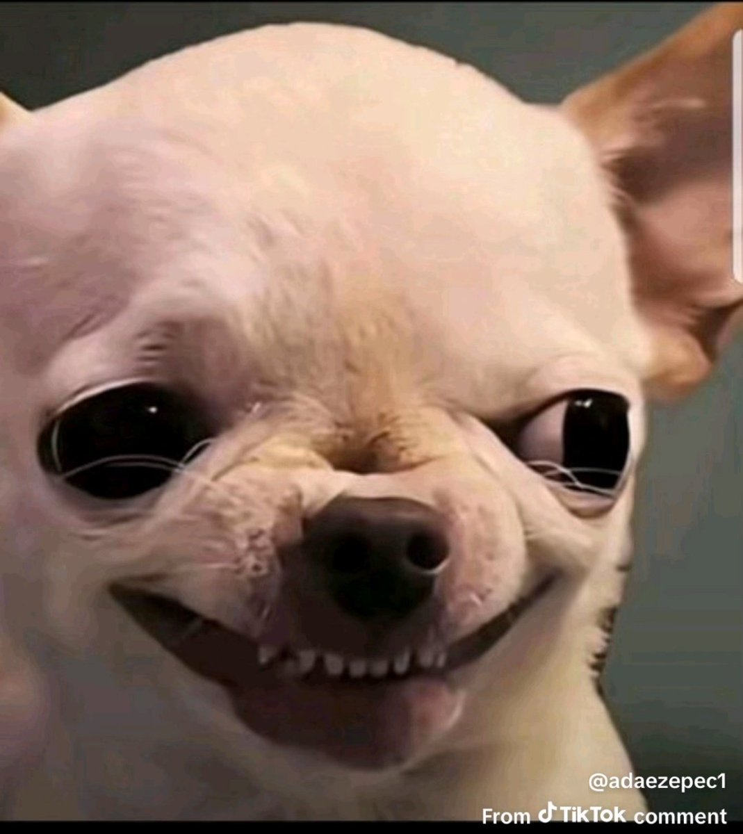 un14311's tweet image. Okay, its Saturday 💃🏾💃🏾🥳
  Better thread carefully today.