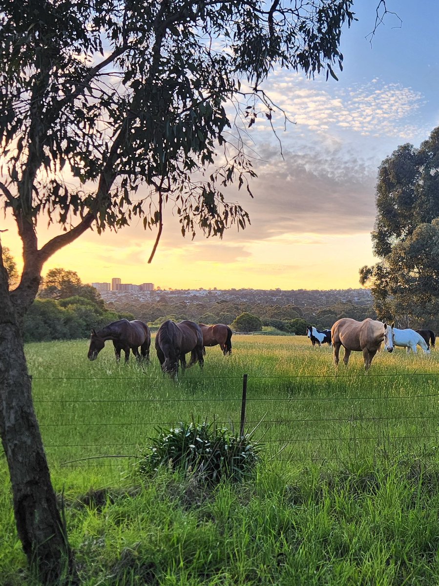 Moni🍉 tweet media